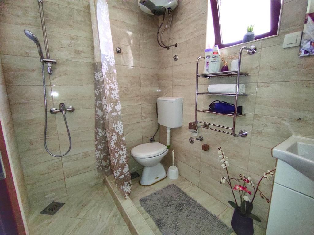 Апартаменты Apartments Four Countesses Вирпазар