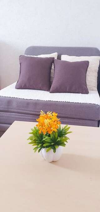Апартаменты Apartments Four Countesses Вирпазар Номер-студио с террасой-3
