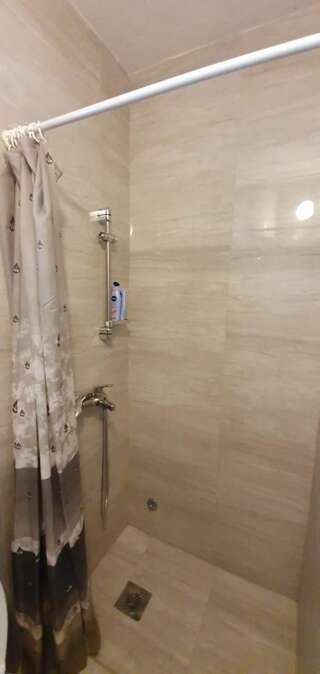 Апартаменты Apartments Four Countesses Вирпазар Номер-студио с террасой-10