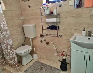 Апартаменты Apartments Four Countesses Вирпазар Номер-студио с террасой-7