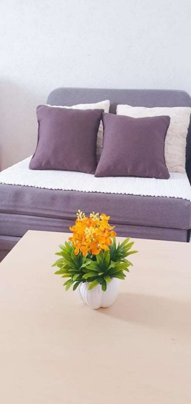 Апартаменты Apartments Four Countesses Вирпазар-16